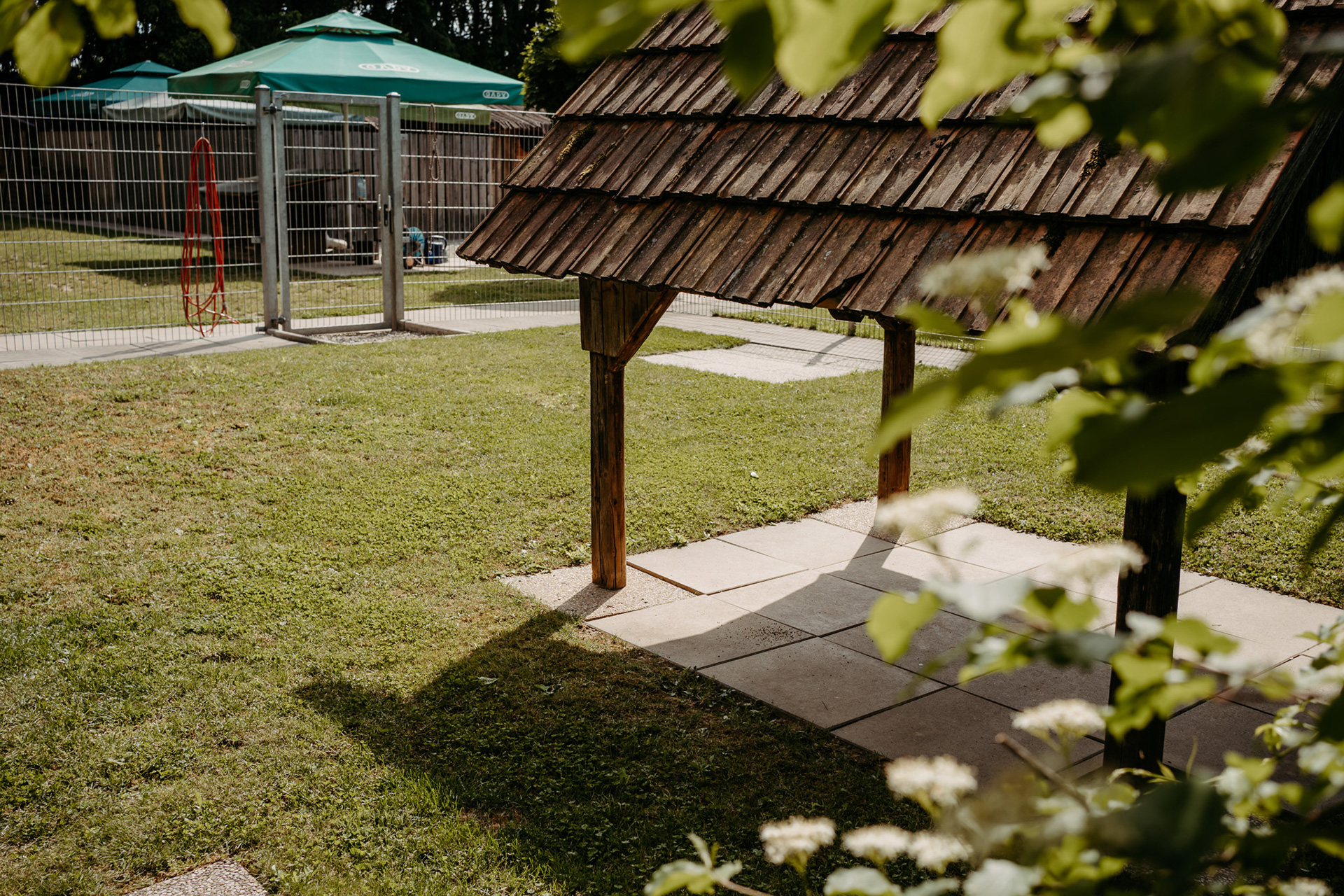 Hundewiese im Gady Hundezentrum