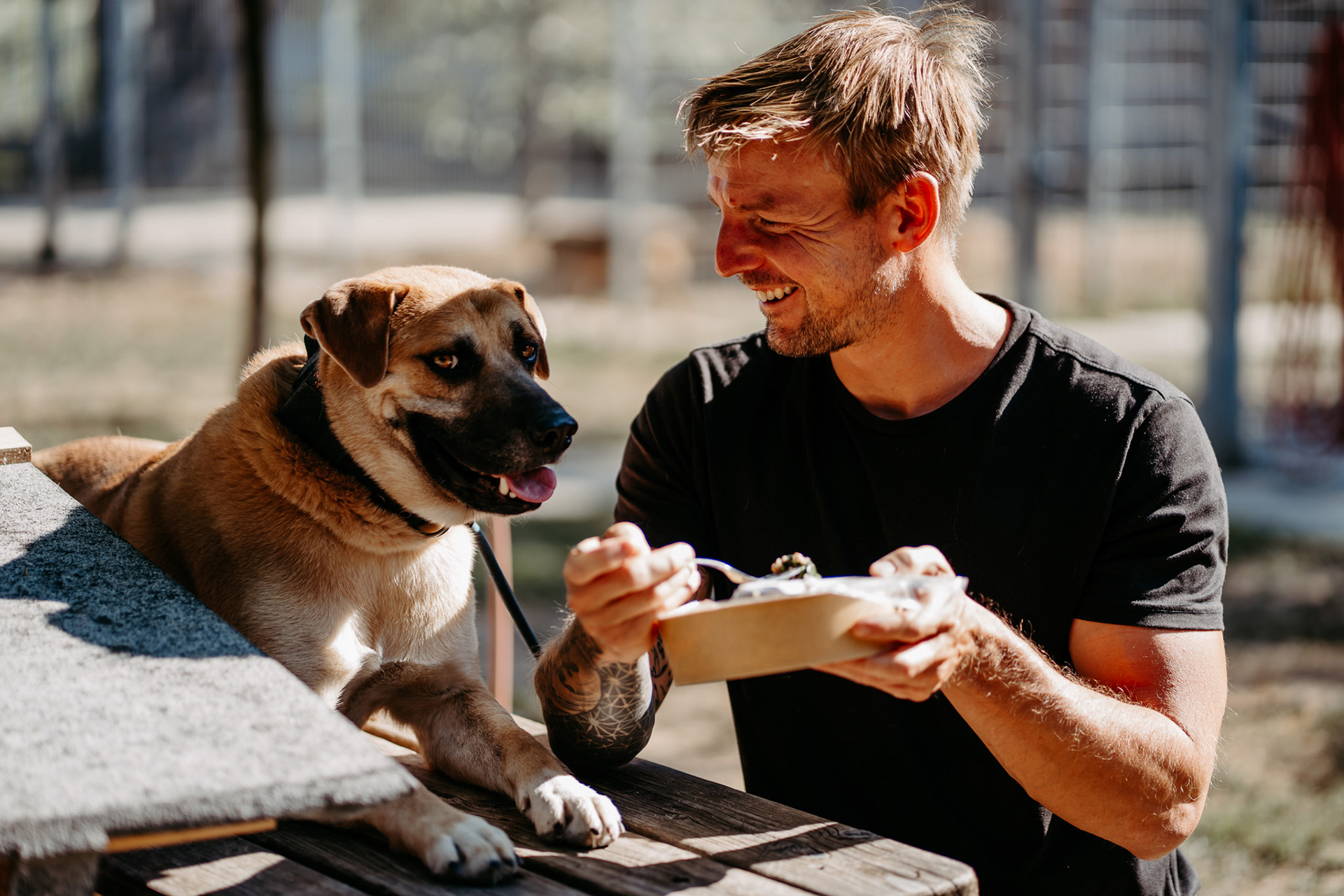 Max bei der Fütterung der Hunde