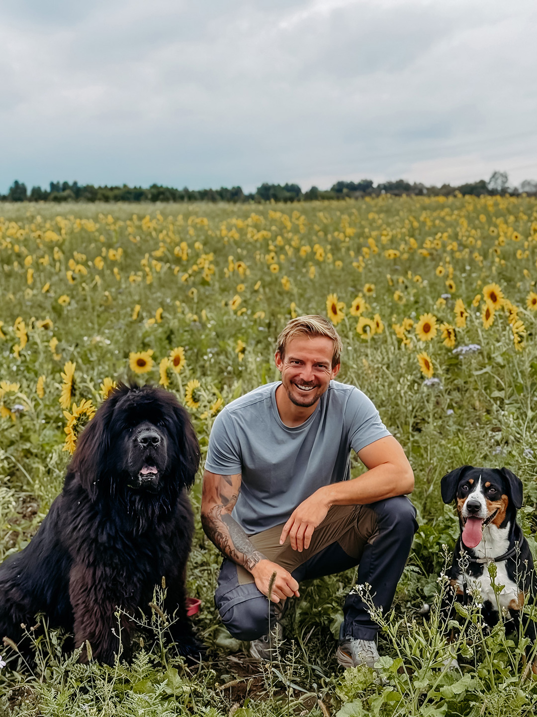 Max mit Hunden im Feld